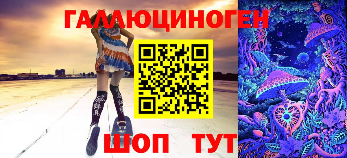 Псилоцибиновые грибы Psilocybe Дзержинск