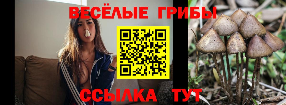 Галлюциногенные грибы мицелий  Псилоцибиновые грибы мухоморы  Вход с VPN  Дзержинск 